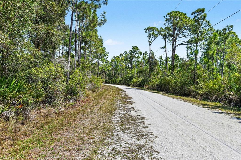 12097 Platano Dr Property Photo 4