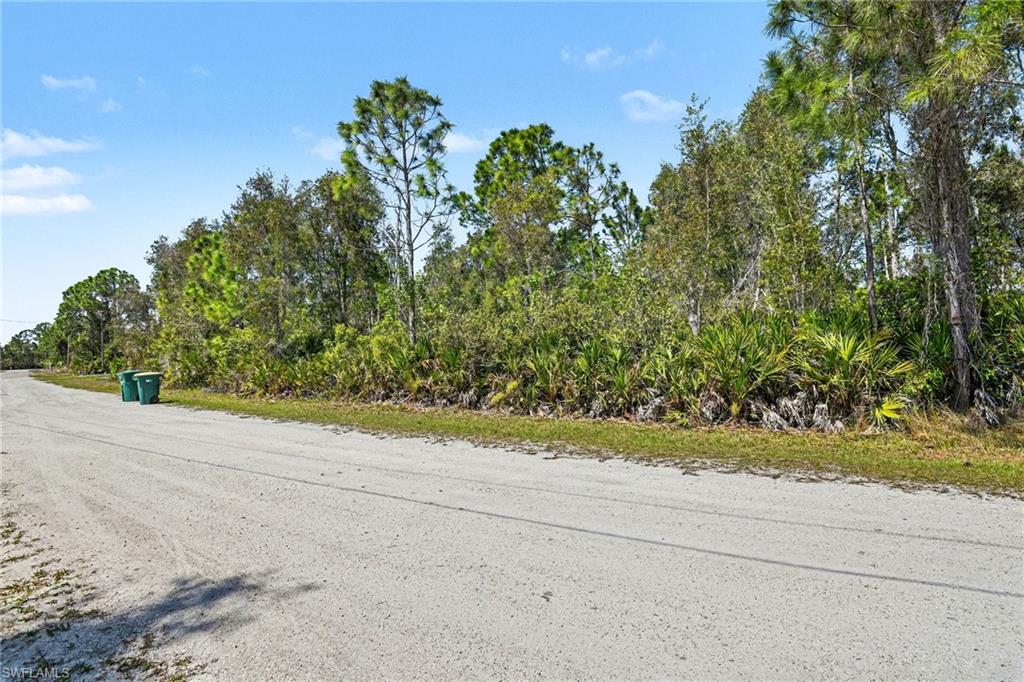 12097 Platano Dr Property Photo 5