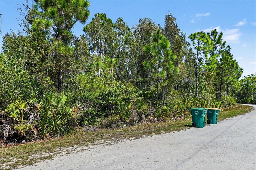 12097 Platano Dr Property Photo 6