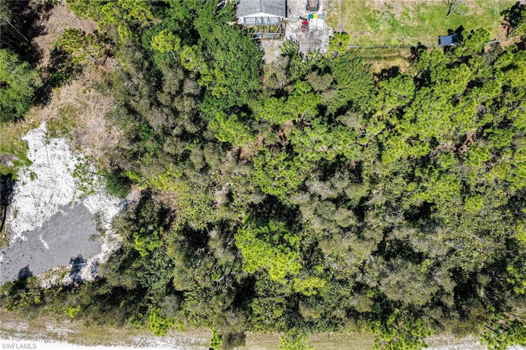 12097 Platano Dr Property Photo 10