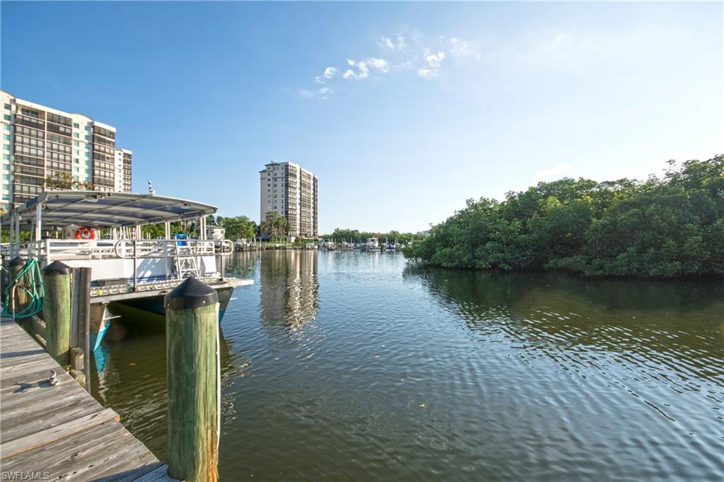 425 Cove Tower Dr 504 Property Photo 41