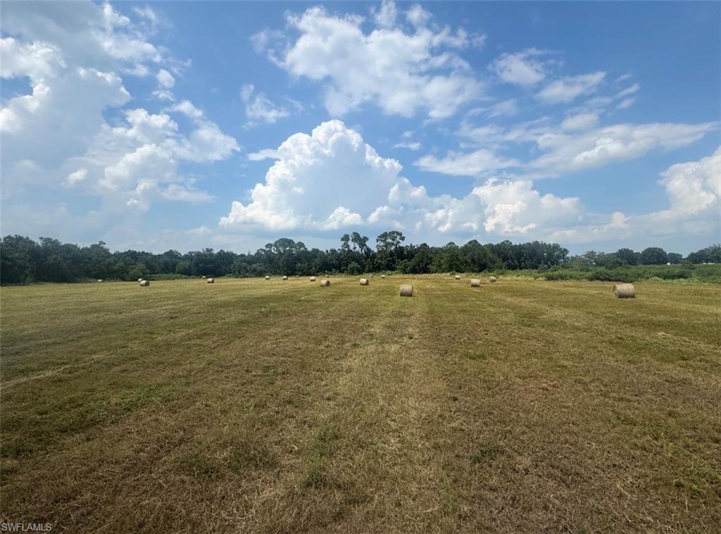 226014260 Property Photo 2