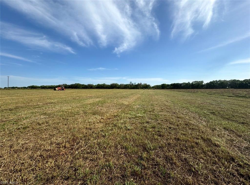 226014260 Property Photo 3