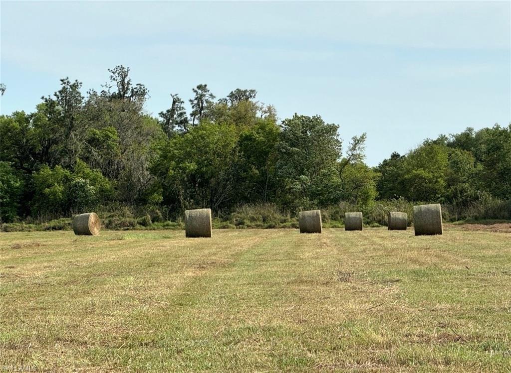 226014260 Property Photo 4