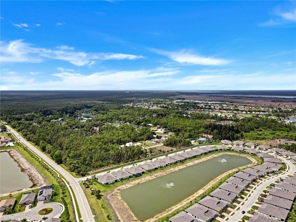 20462 Plumwood Loop Property Photo 31