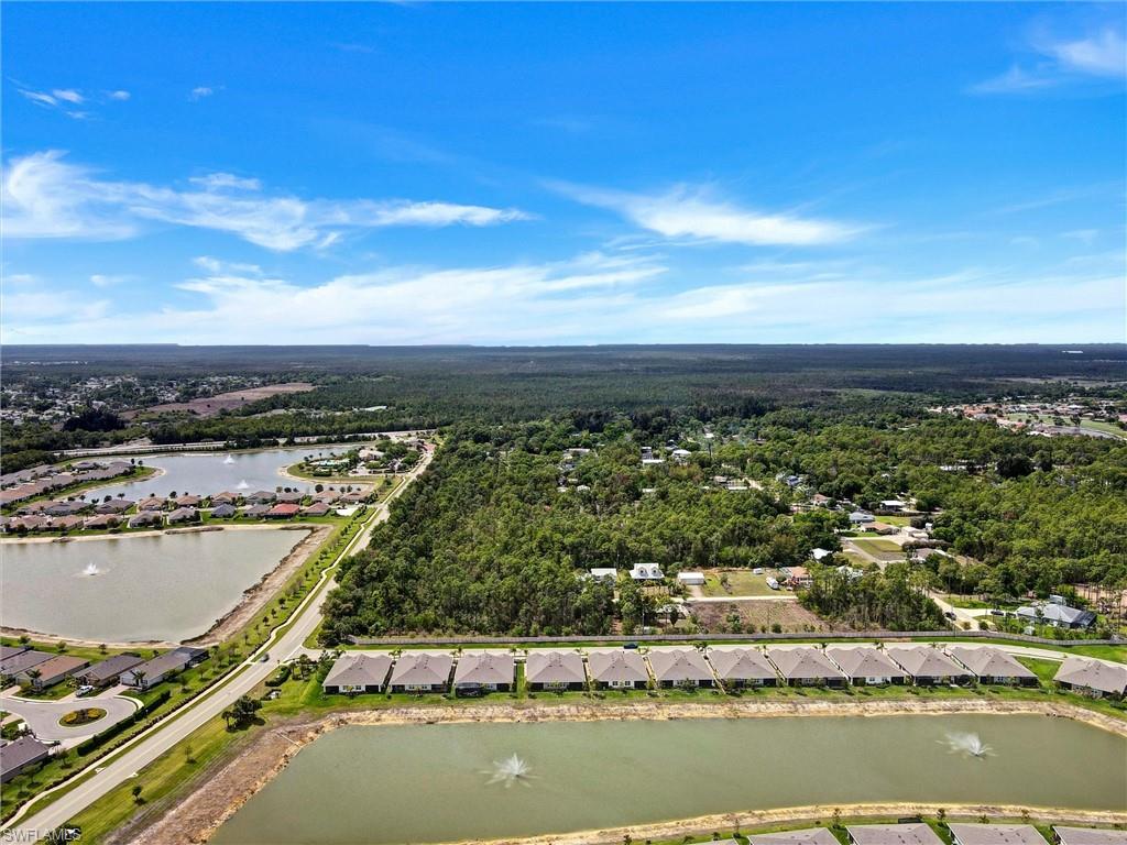 20462 Plumwood Loop Property Photo 32