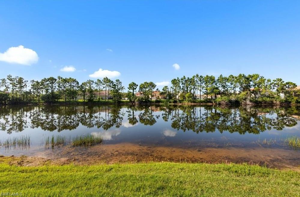 10135 Colonial Country Club Blvd 1208 Property Photo 23