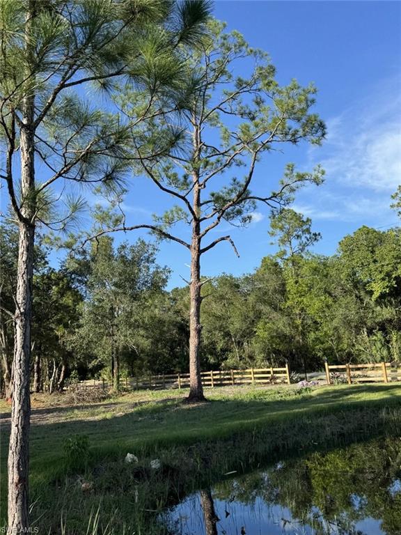 6700 Louella Dr Property Photo 18