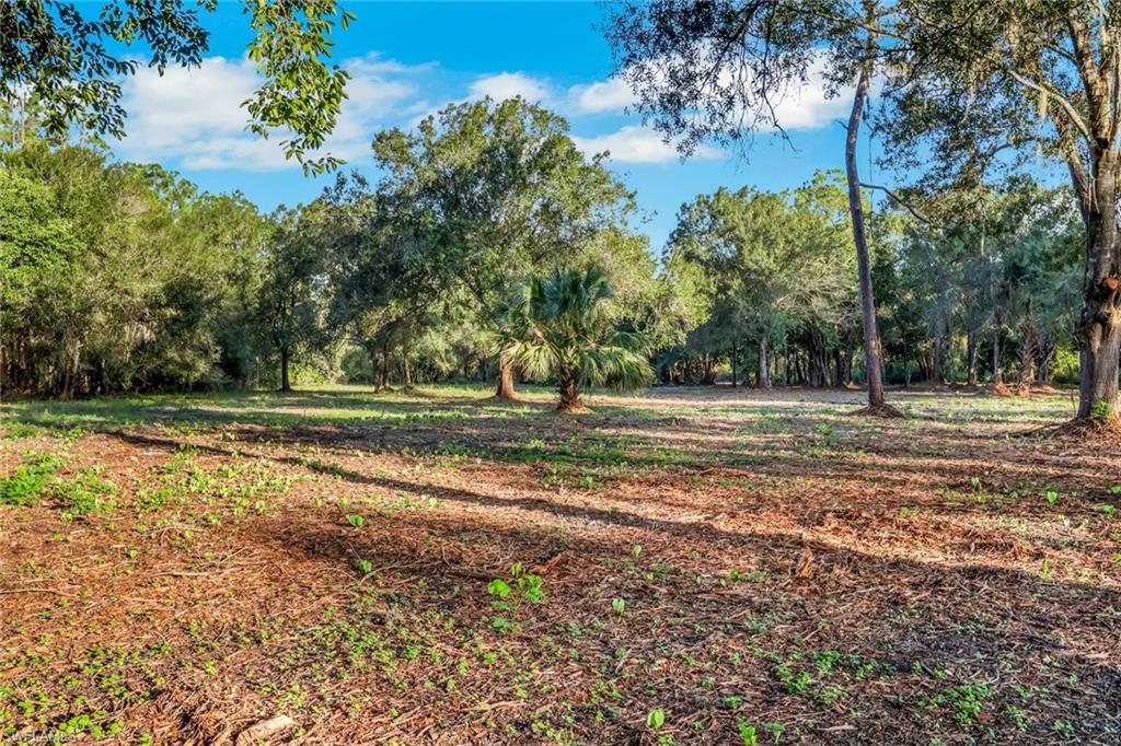 6700 Louella Dr Property Photo 21