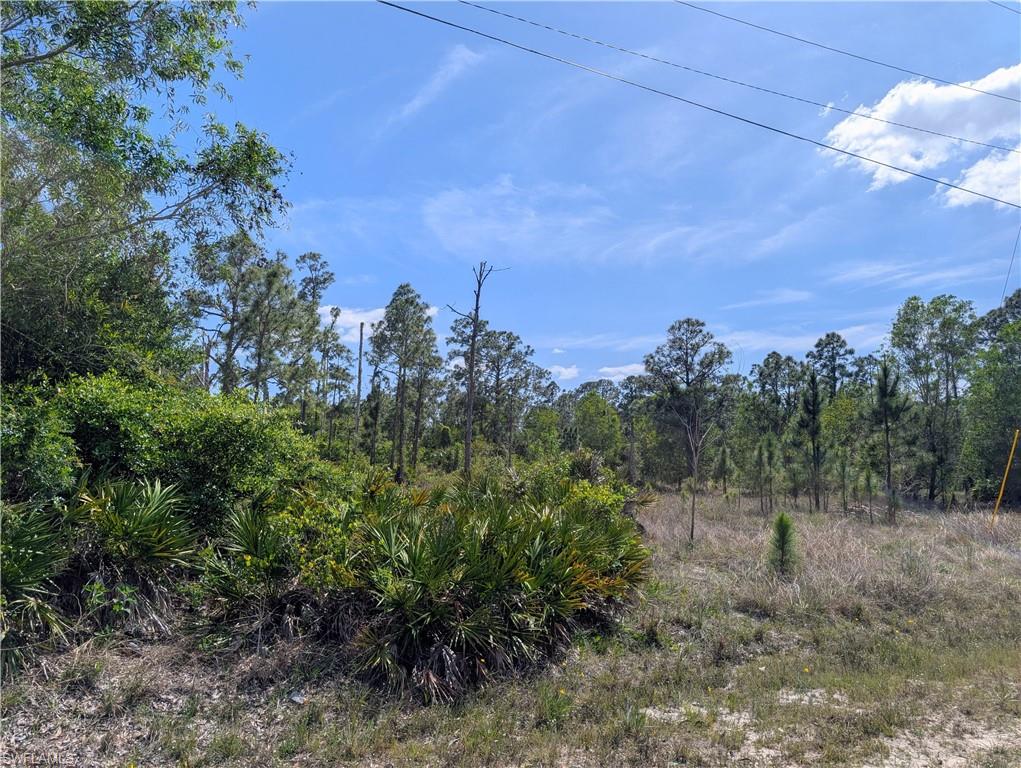 1042 Manning St Property Photo 1