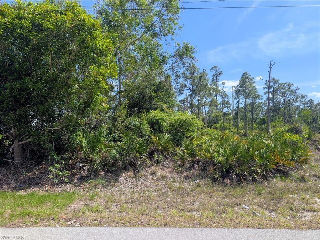 1042 Manning St Property Photo 3