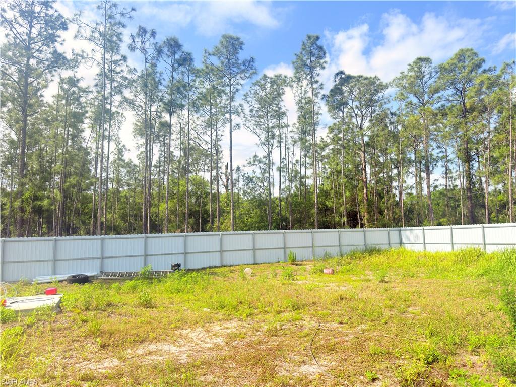 226015809 Property Photo 25