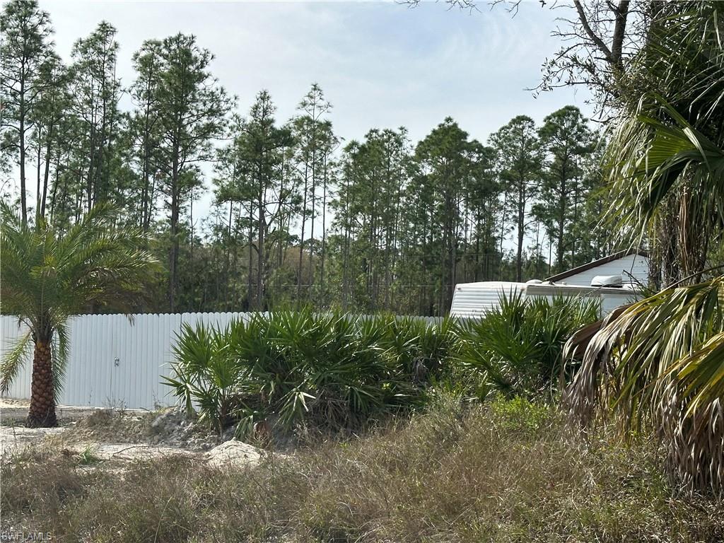 226015809 Property Photo 36