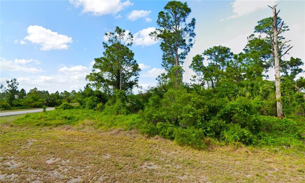1033 Parker Ct Property Photo 4