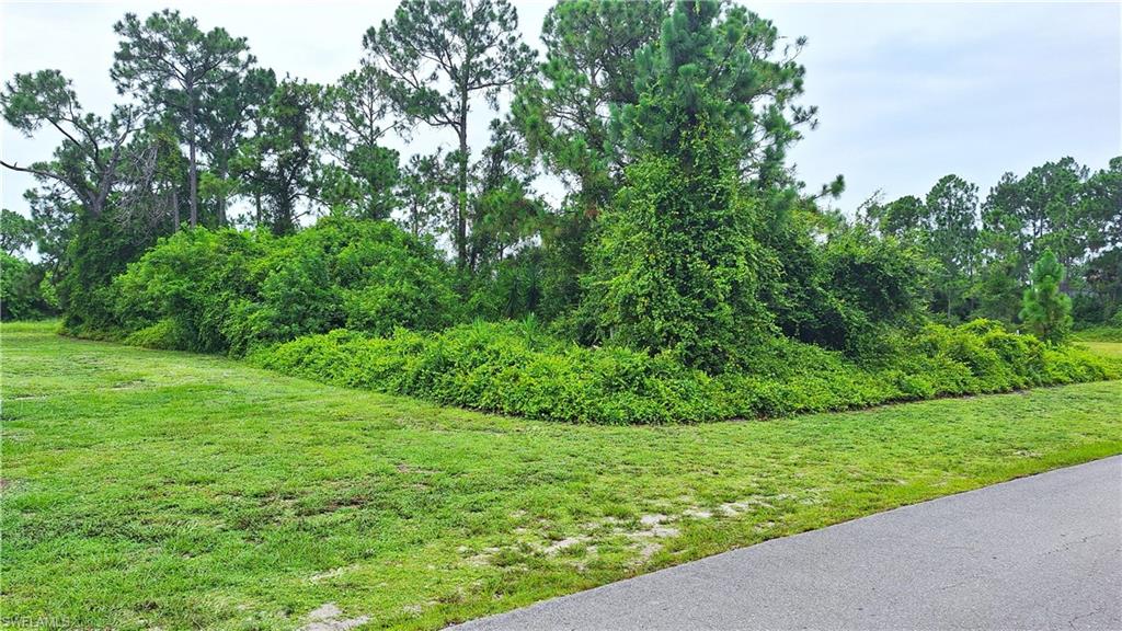 1033 Parker Ct Property Photo 5