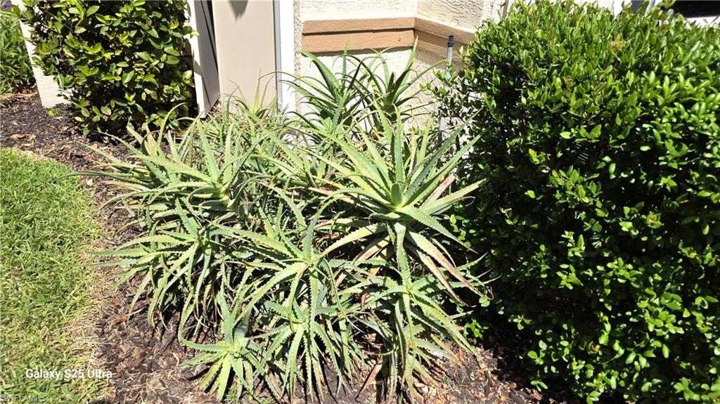 9060 Palmas Grandes Blvd 106 Property Photo 11