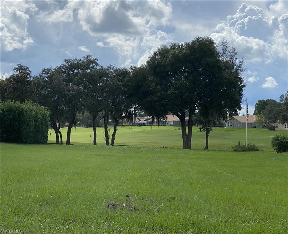 13423 Trailing Moss Dr Property Photo 1