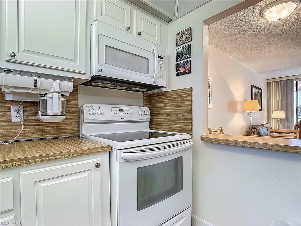 175 Turtle Lake Ct 108 Property Photo 6