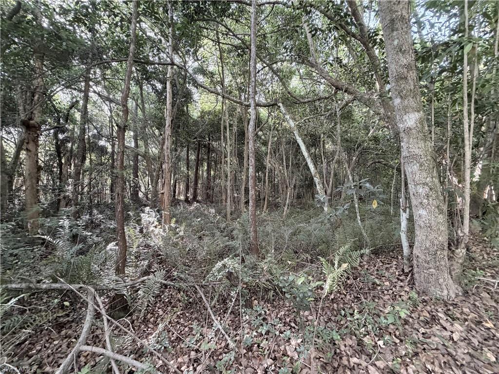 Lager Lane Property Photo 26