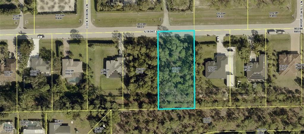 10500 Strike Ln Property Photo 6