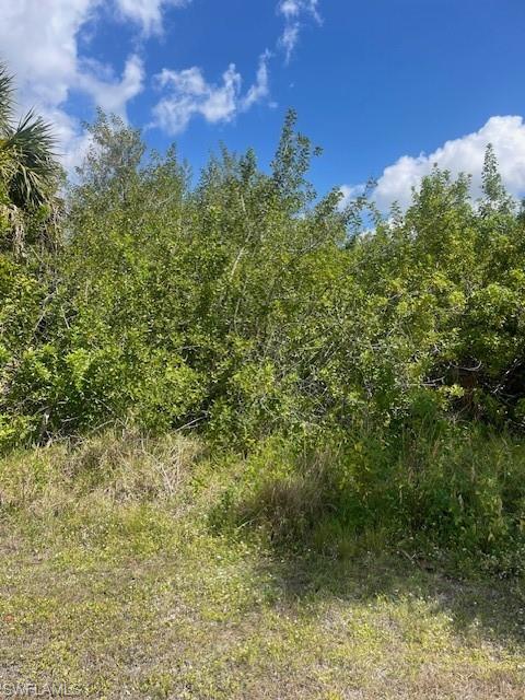 4450 Bayview St Property Photo 3