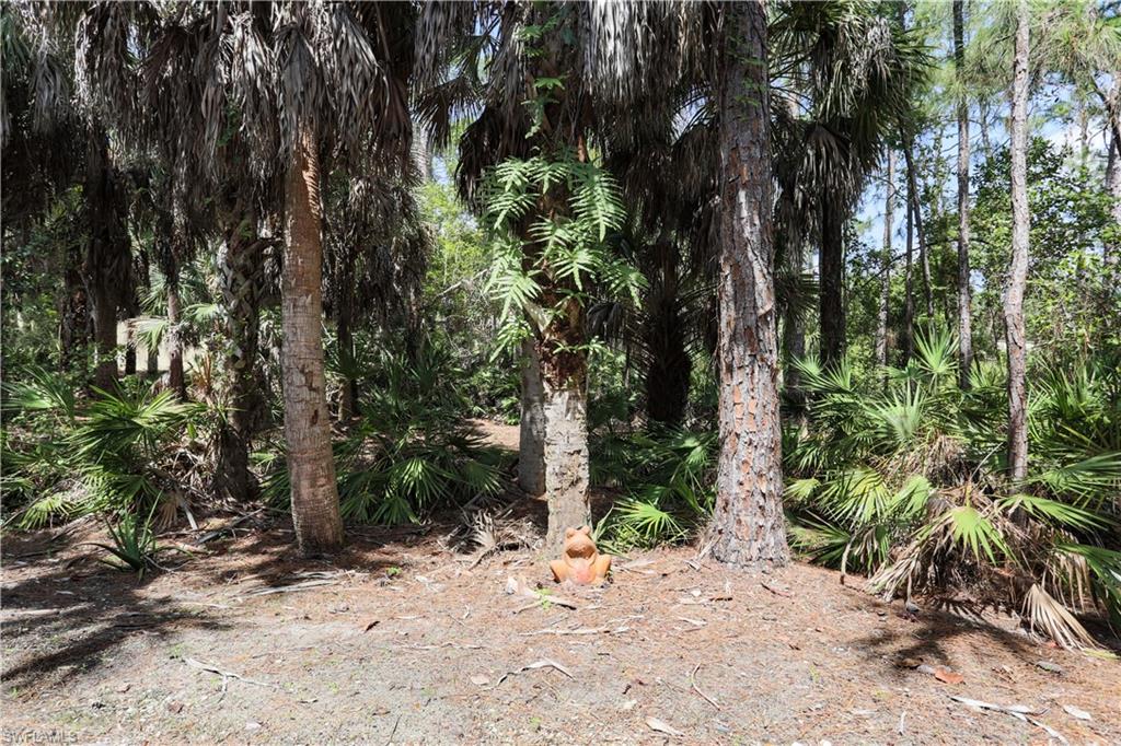 1710 Tarpon Bay Dr S 4 Property Photo 27