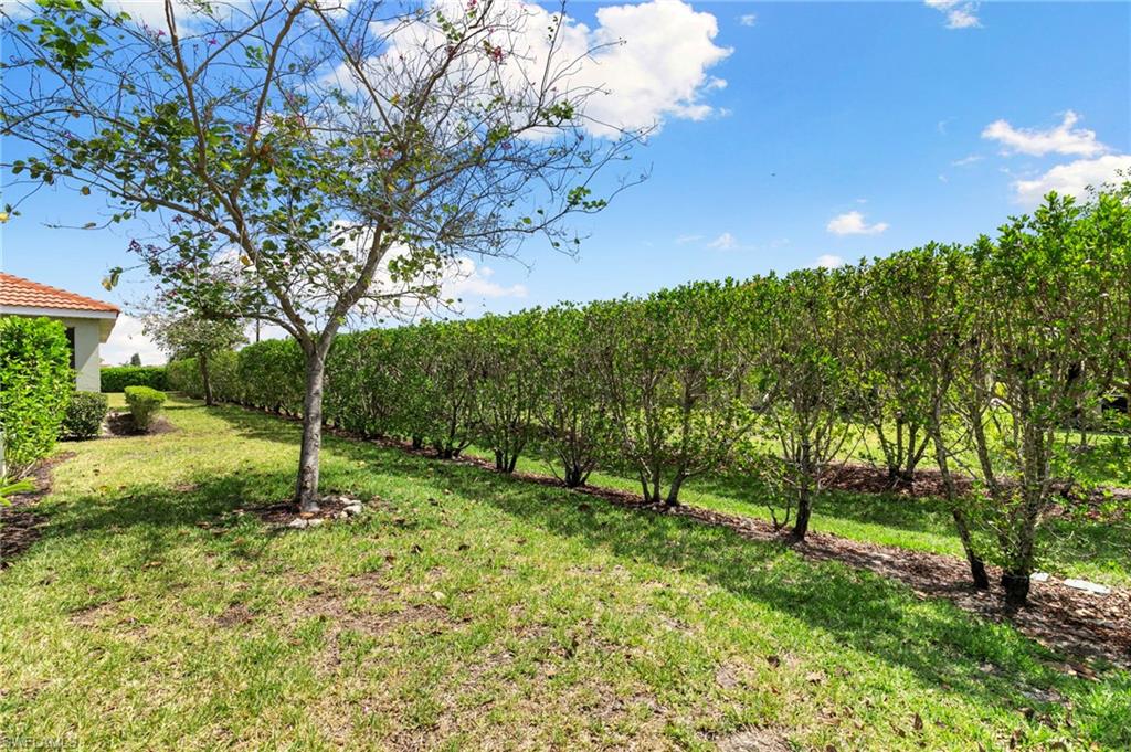 3215 Birchin Ln Property Photo 25