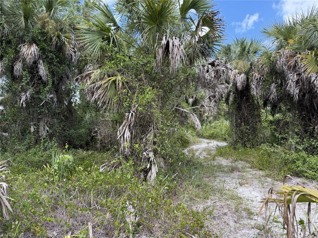 00 Woodland Grade Private Rd Property Photo 5