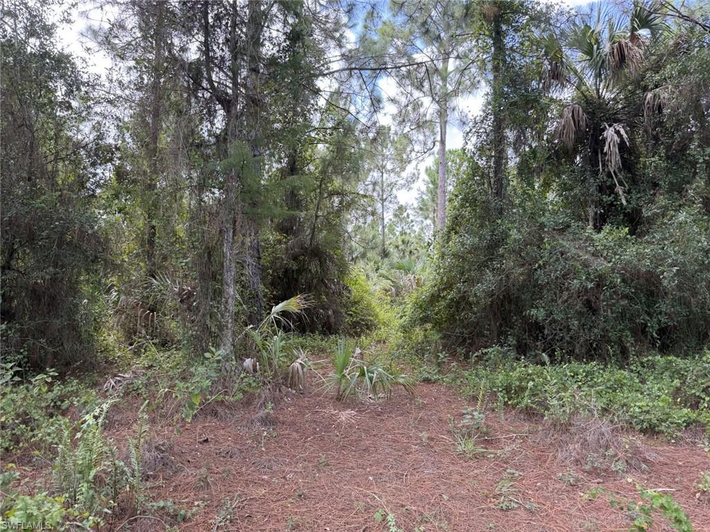 00 Woodland Grade Private Rd Property Photo 6