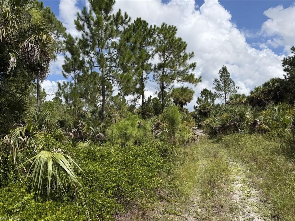 00 Woodland Grade Private Rd Property Photo 10