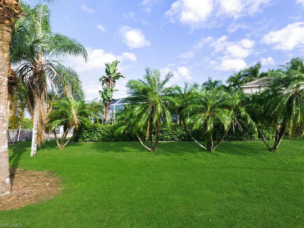 2051 Morning Sun Ln Property Photo 33