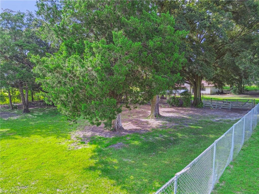 18139 Benes Roush Rd Property Photo 8