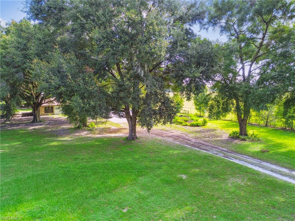 18139 Benes Roush Rd Property Photo 9