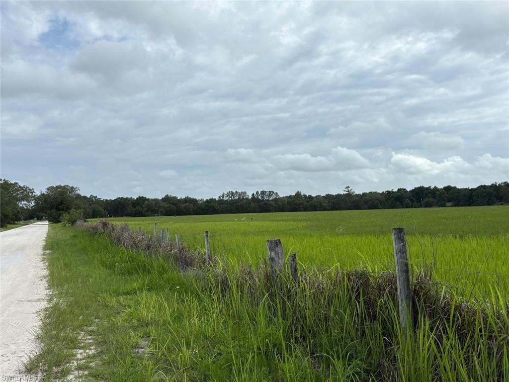 18139 Benes Roush Rd Property Photo 12