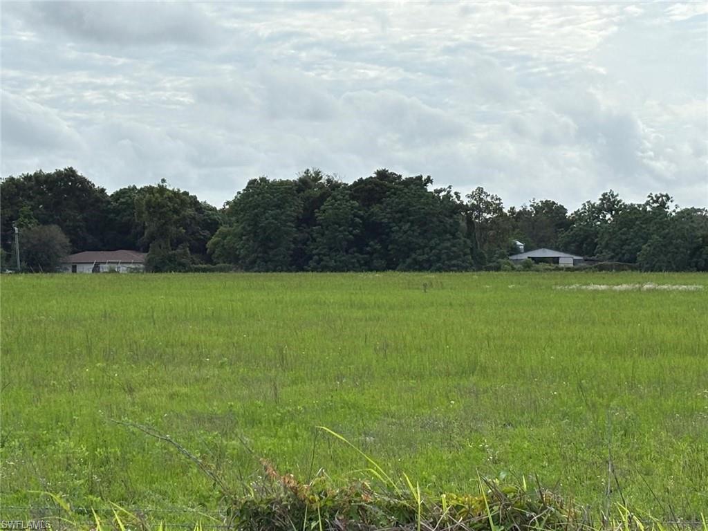 18139 Benes Roush Rd Property Photo 14