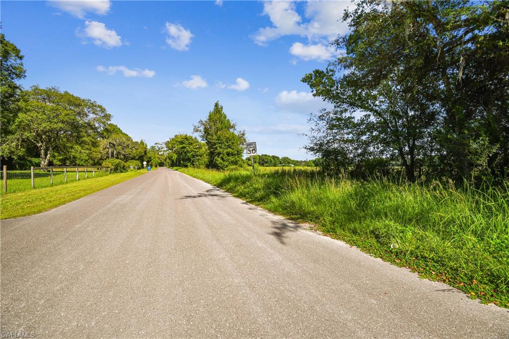 18139 Benes Roush Rd Property Photo 15