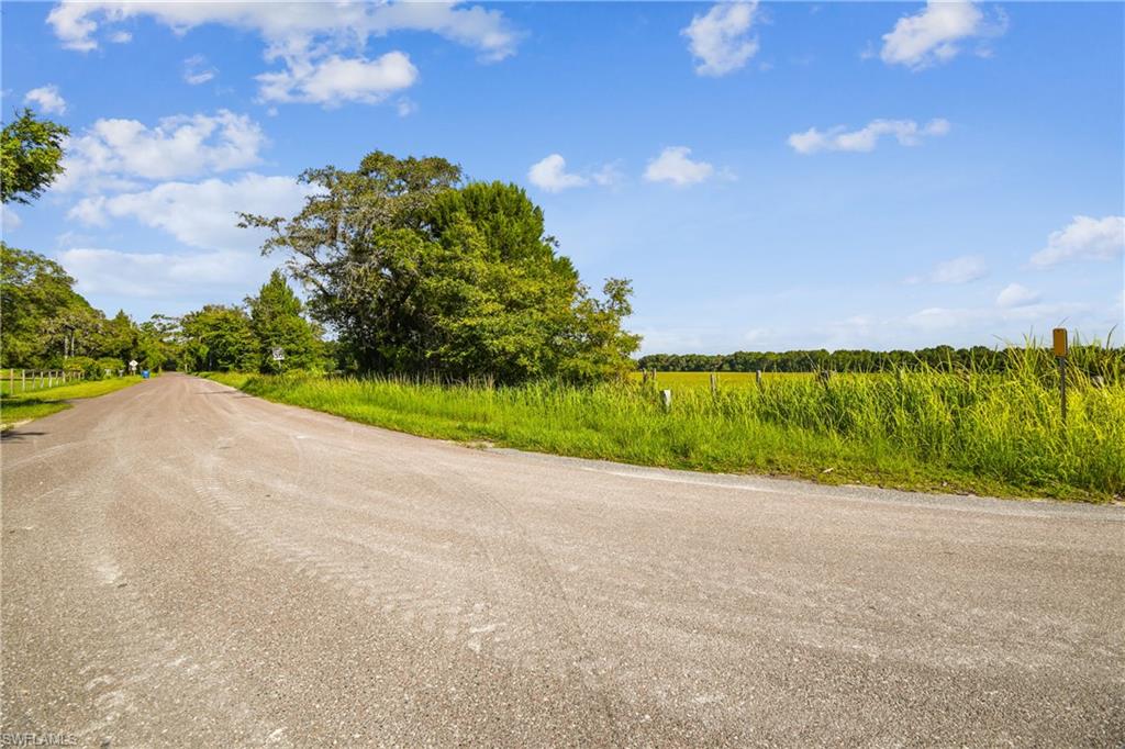 18139 Benes Roush Rd Property Photo 16