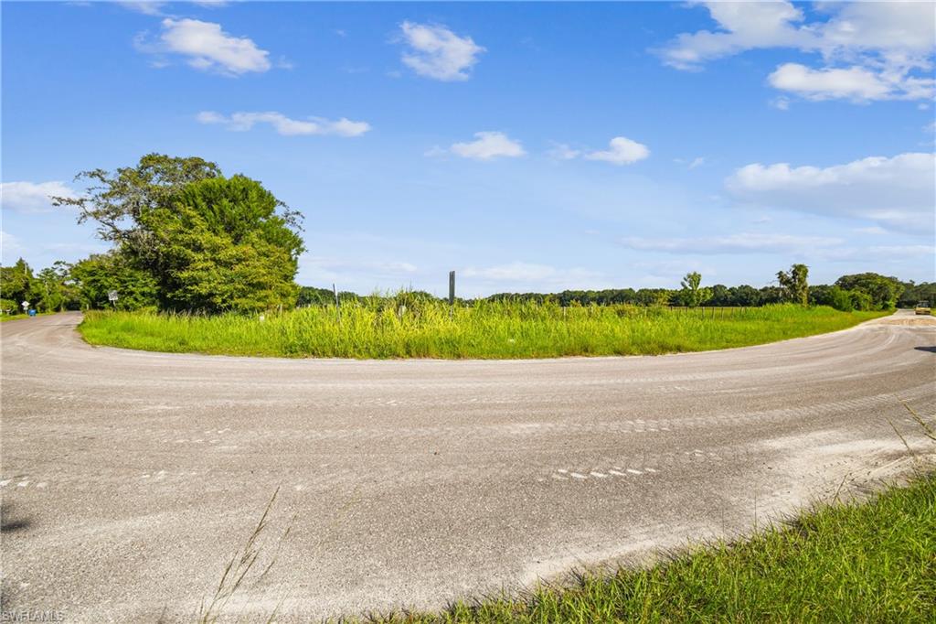 18139 Benes Roush Rd Property Photo 17