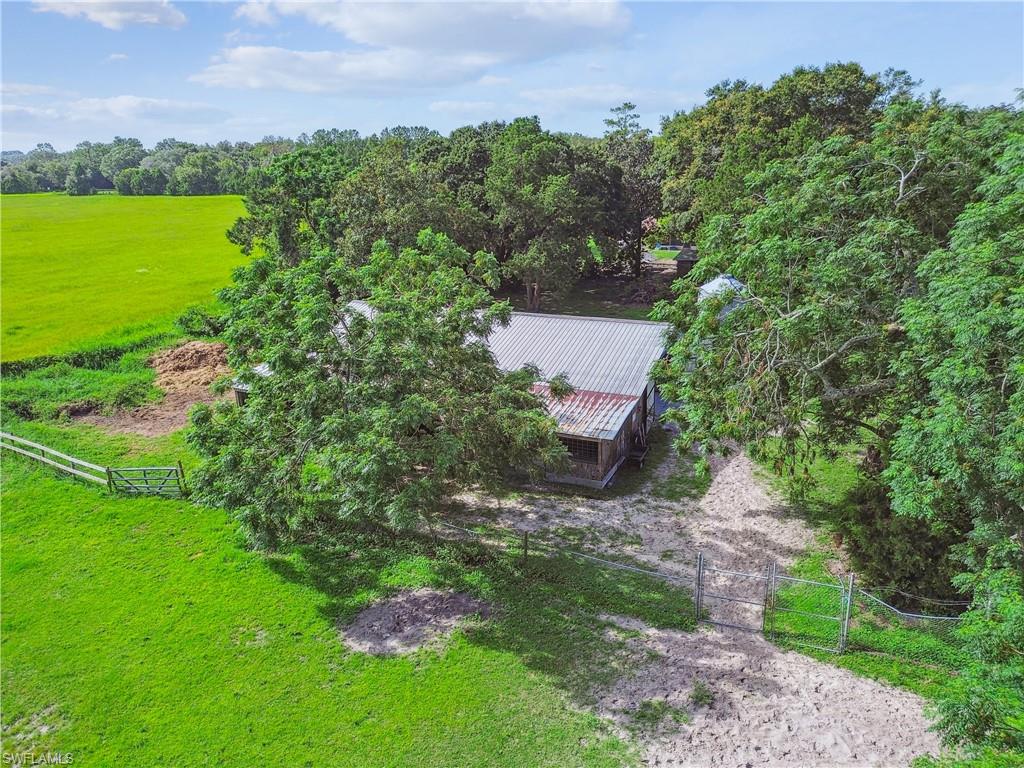 18139 Benes Roush Rd Property Photo 19