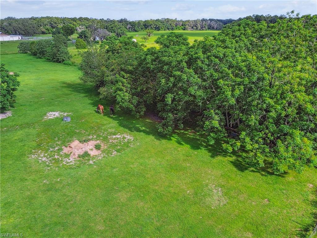 18139 Benes Roush Rd Property Photo 23