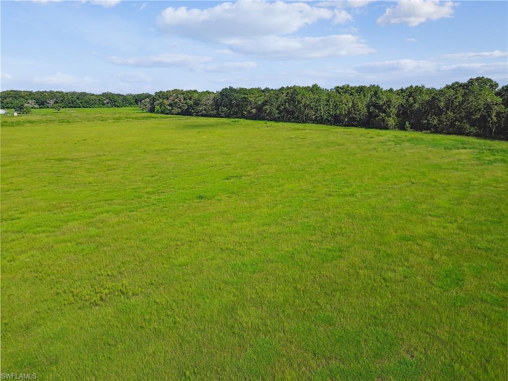 18139 Benes Roush Rd Property Photo 34