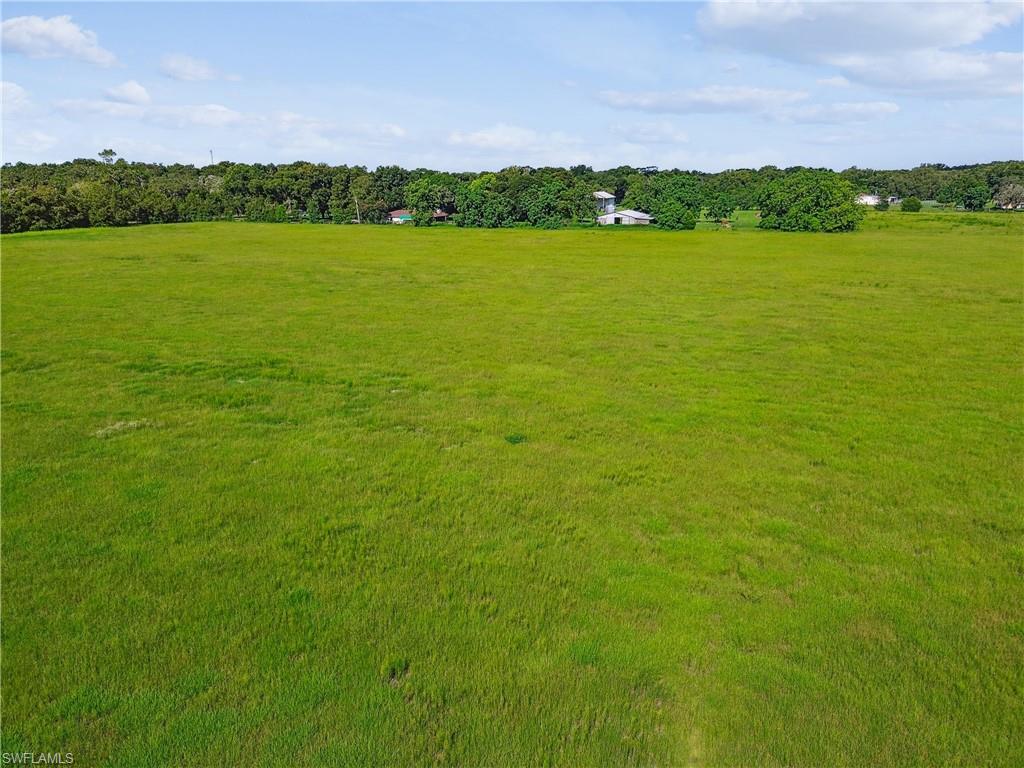 18139 Benes Roush Rd Property Photo 35
