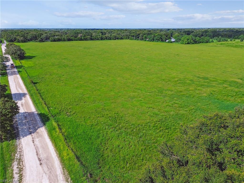 18139 Benes Roush Rd Property Photo 38