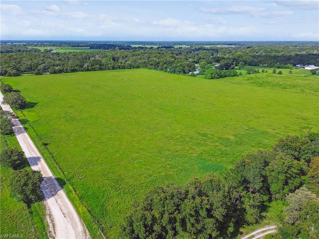 18139 Benes Roush Rd Property Photo 40