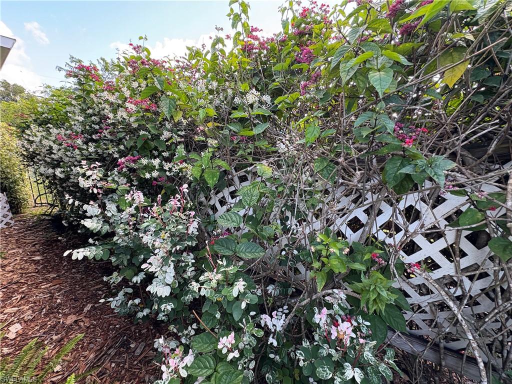 5232 Raintree Ln Property Photo 26