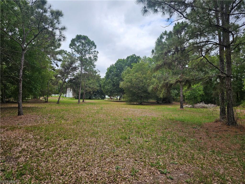 509 Bald Cypress Ave Property Photo 18