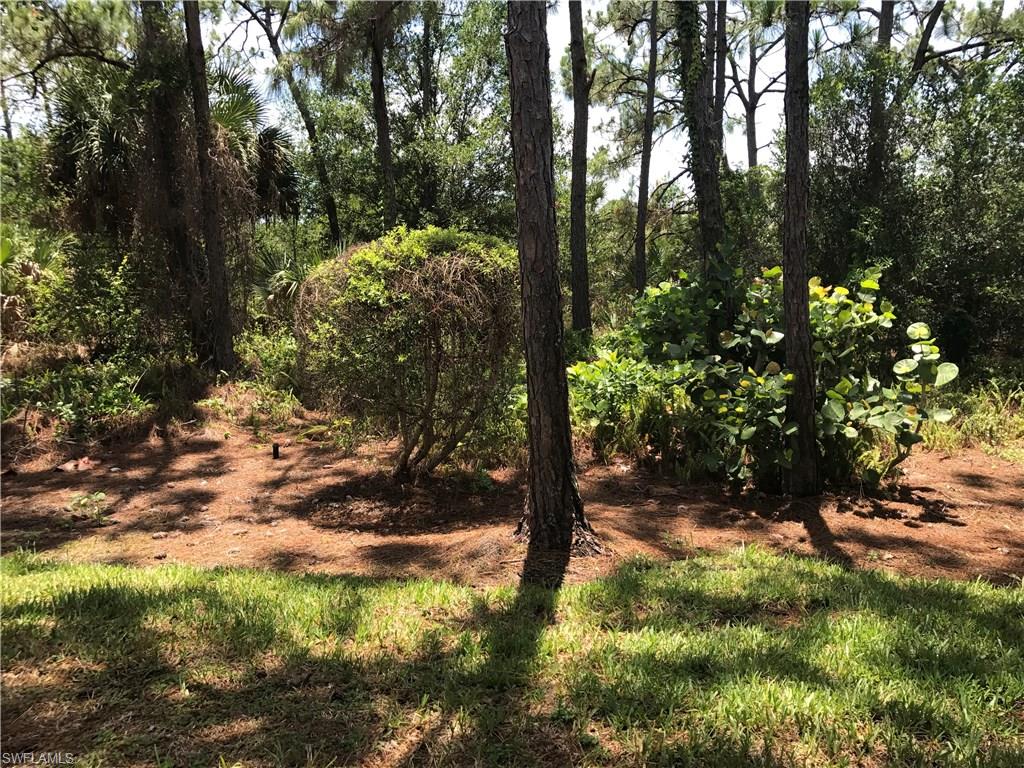 4161 Sawgrass Point Dr 101 Property Photo 23