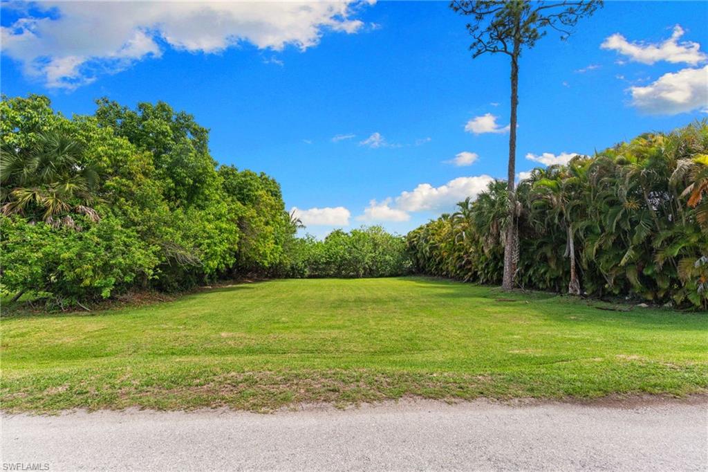 3080 Pine Tree Dr Property Photo 8