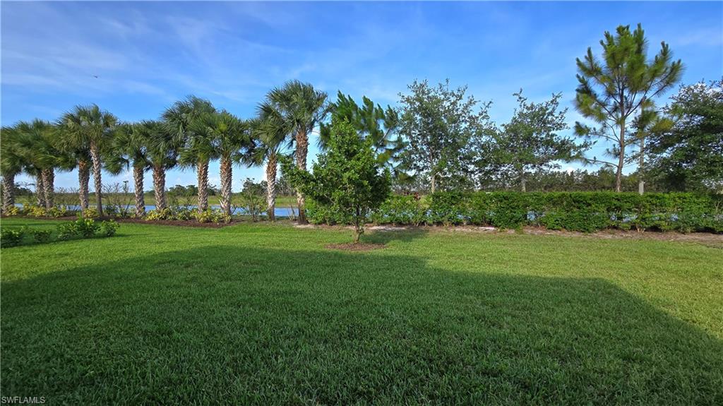 4881 Gambero Way Property Photo 18