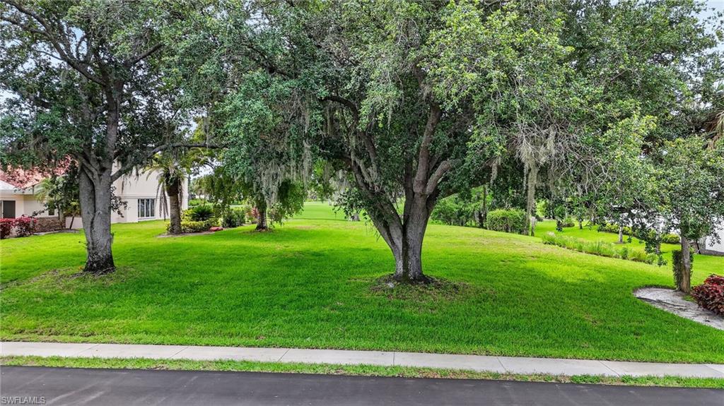 16047 Forest Oaks Dr Property Photo 5